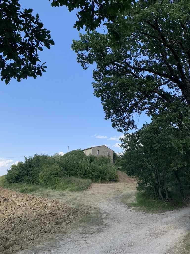immagine annuncio 5 di 12