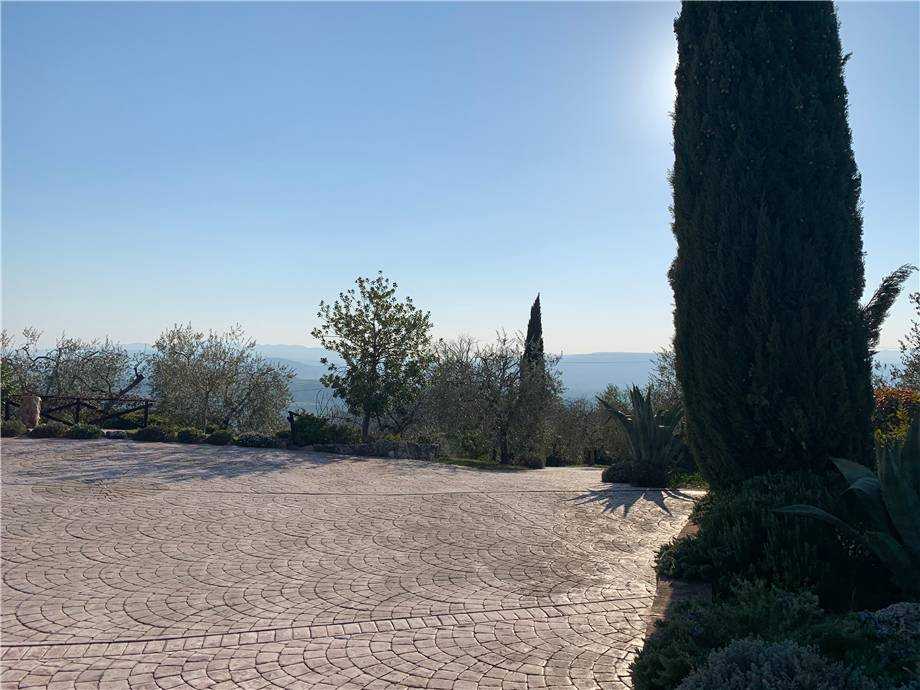  - foto 23
