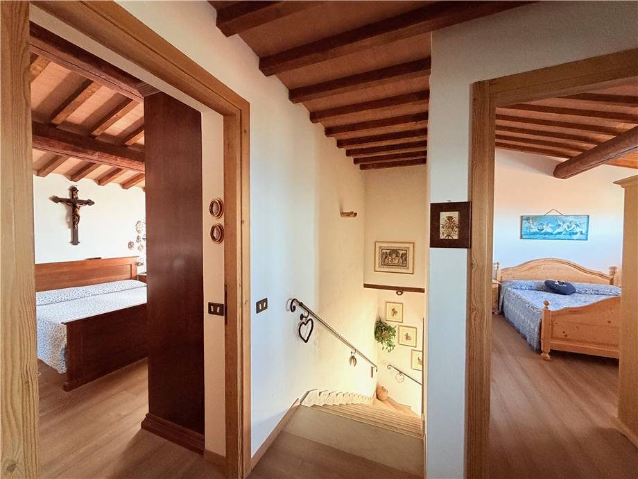  - foto 36