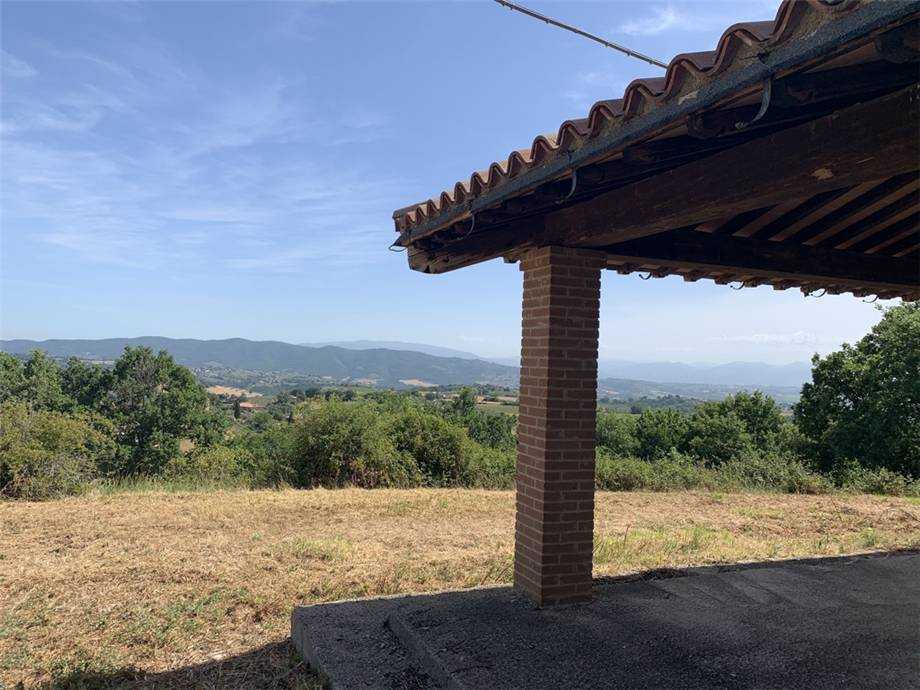  - foto 11