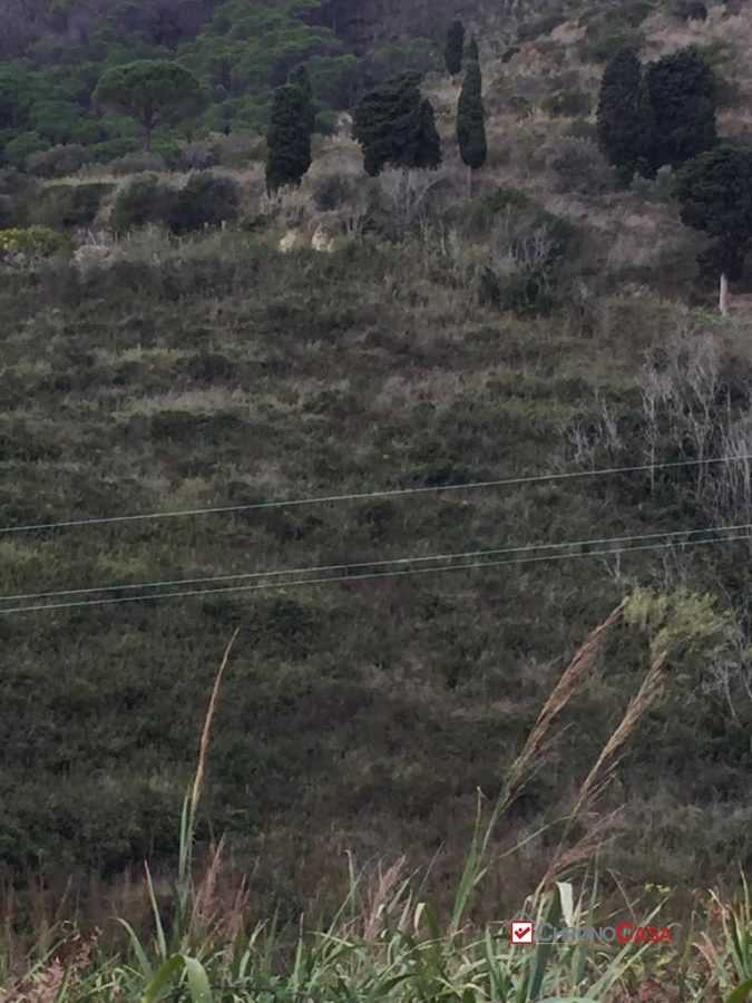  - foto 3