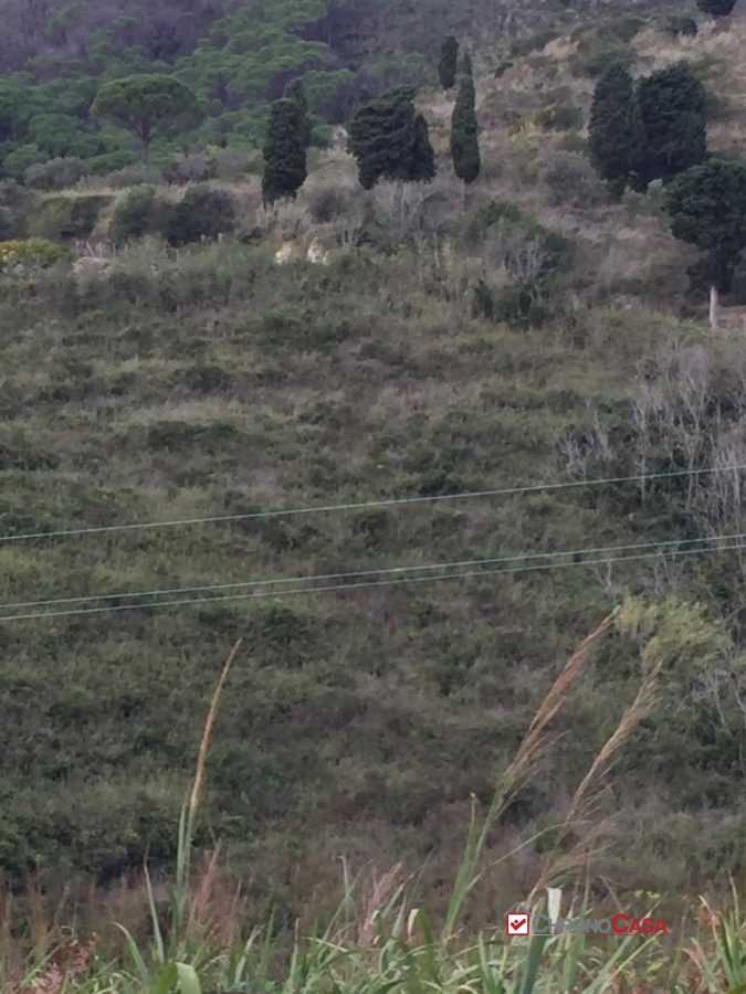  - foto 4