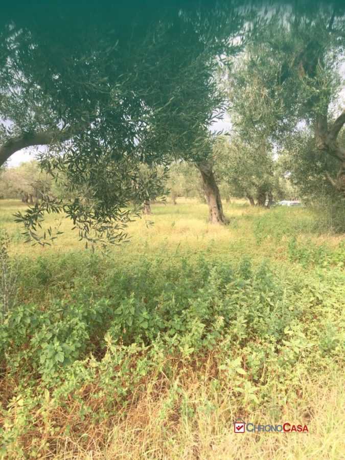  - foto 2