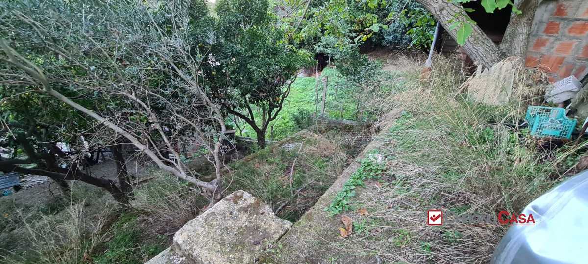  - foto 9
