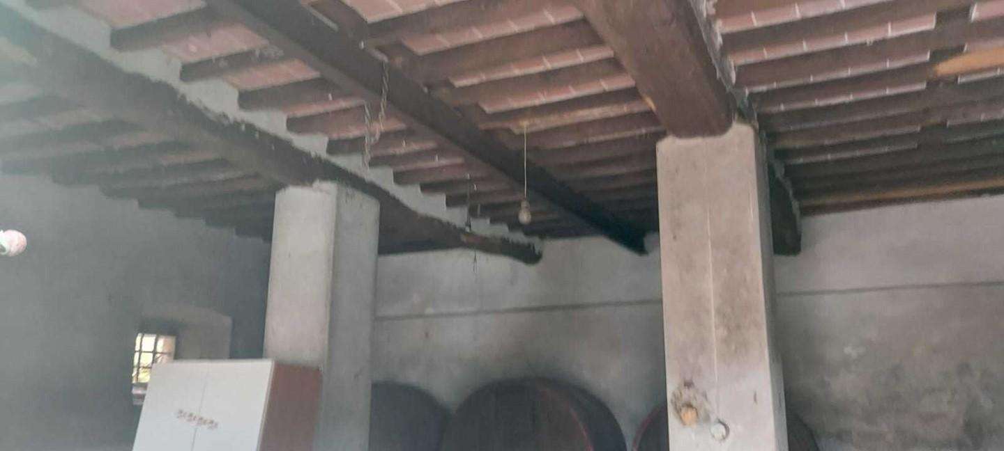 immagine annuncio 8 di 14