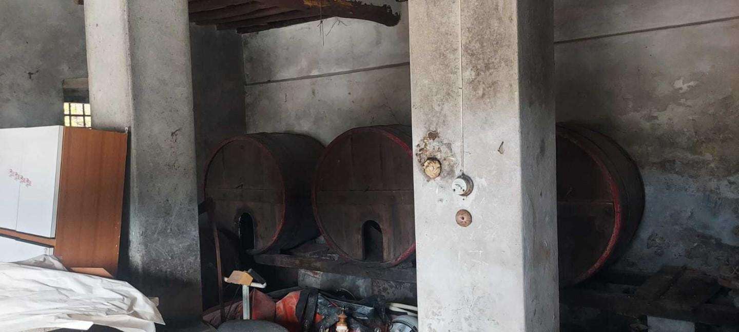 immagine annuncio 13 di 14