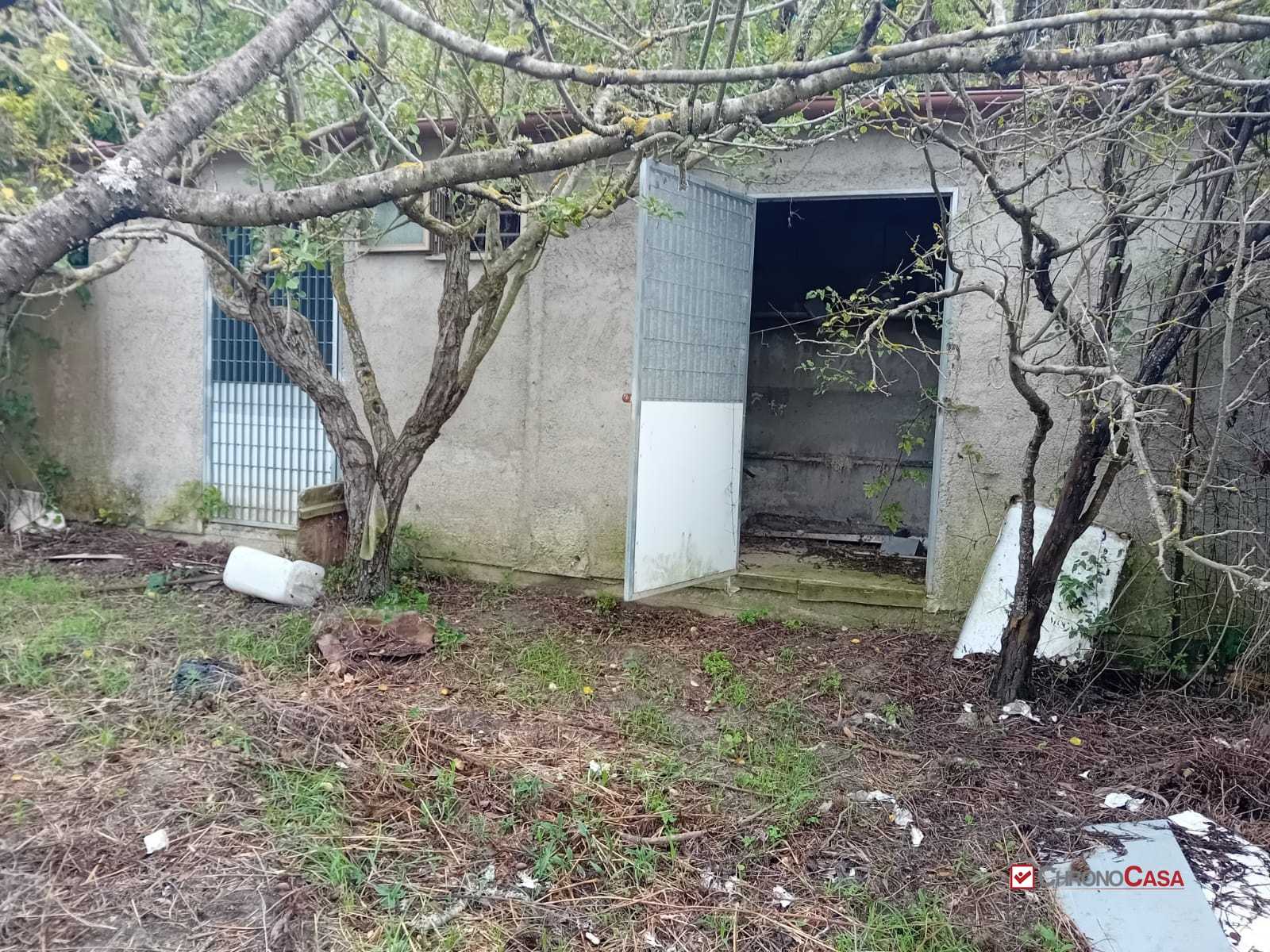  - foto 10