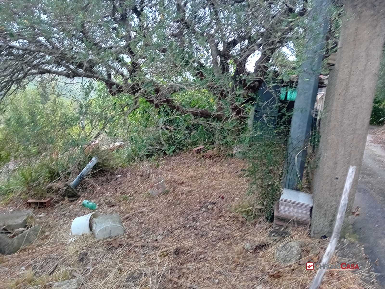  - foto 2