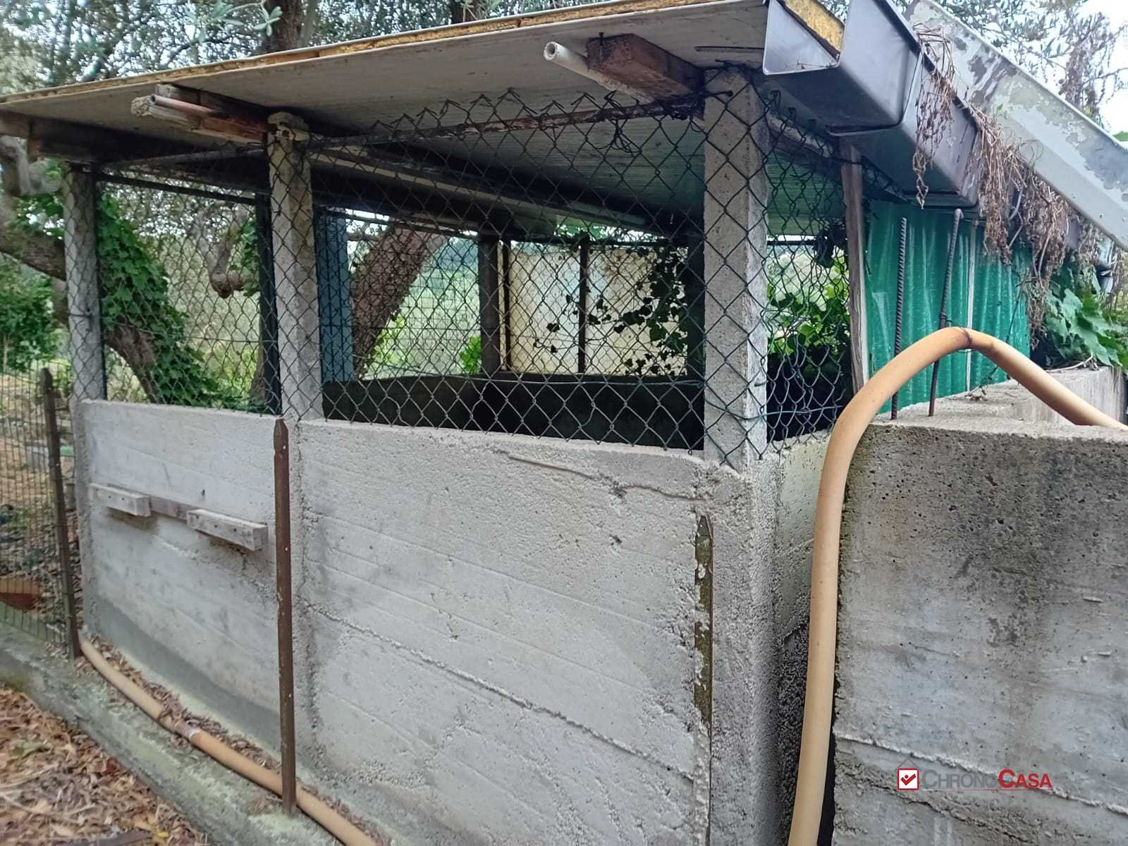  - foto 6