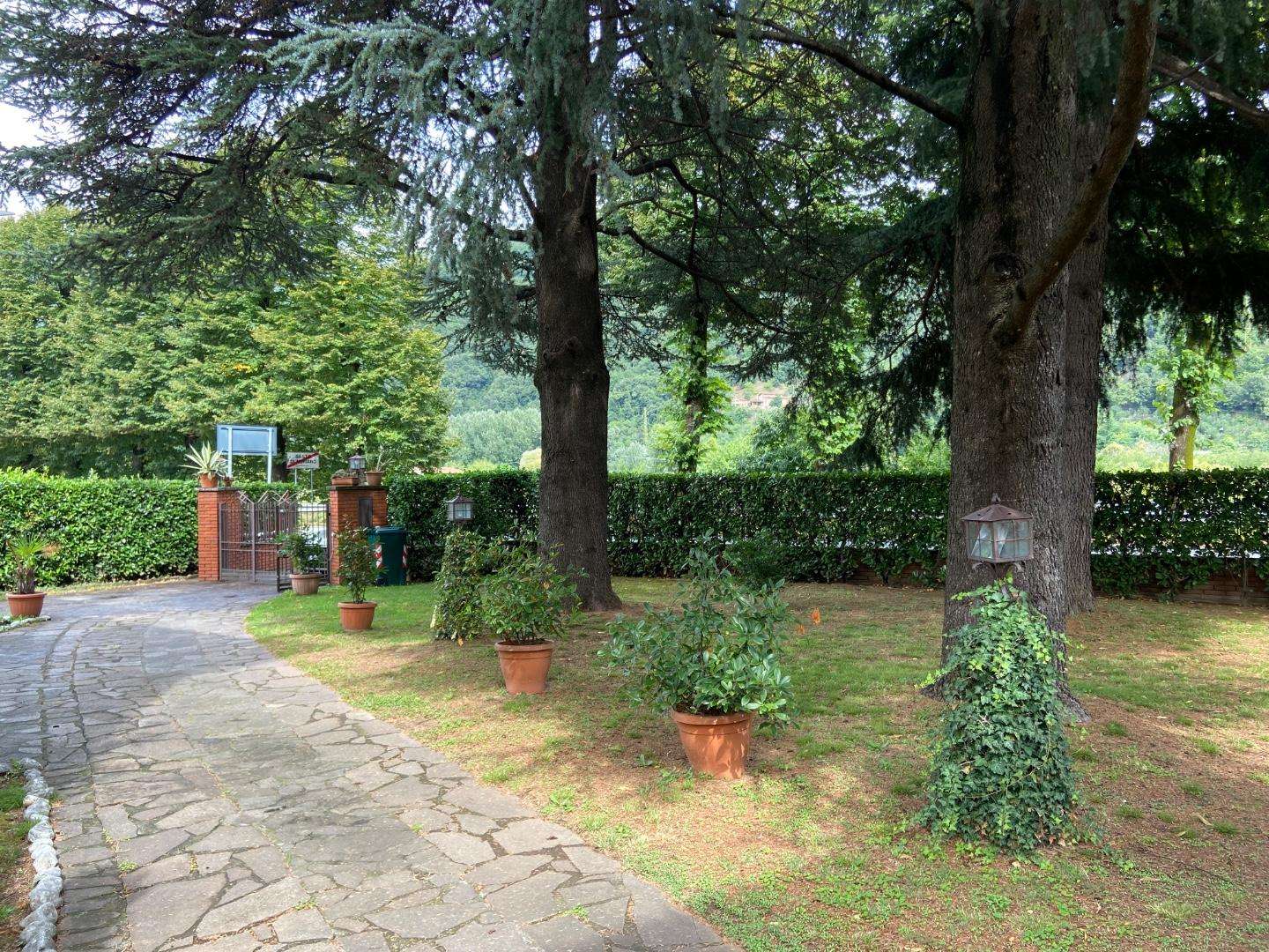  - foto 31