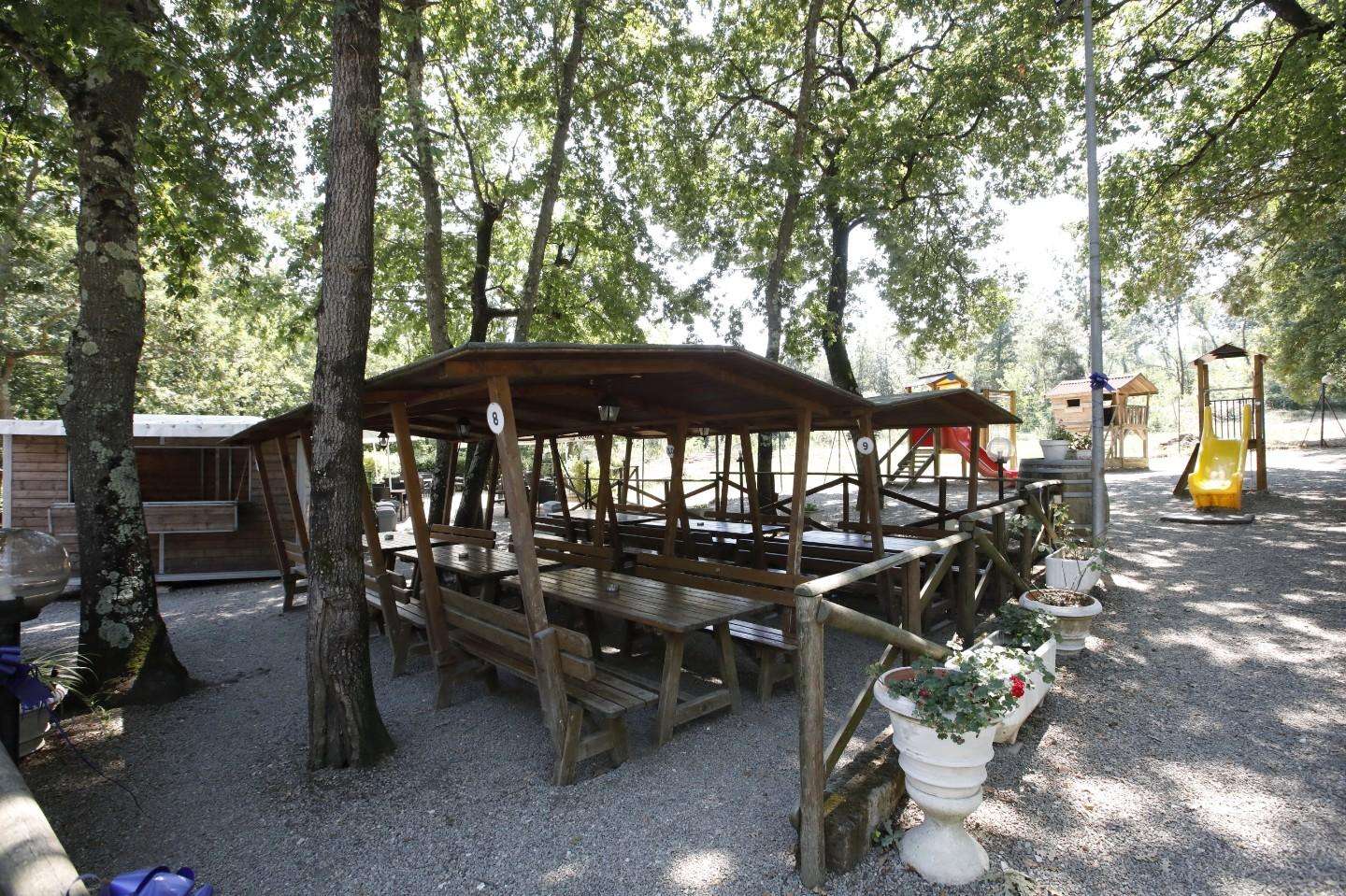  - foto 12