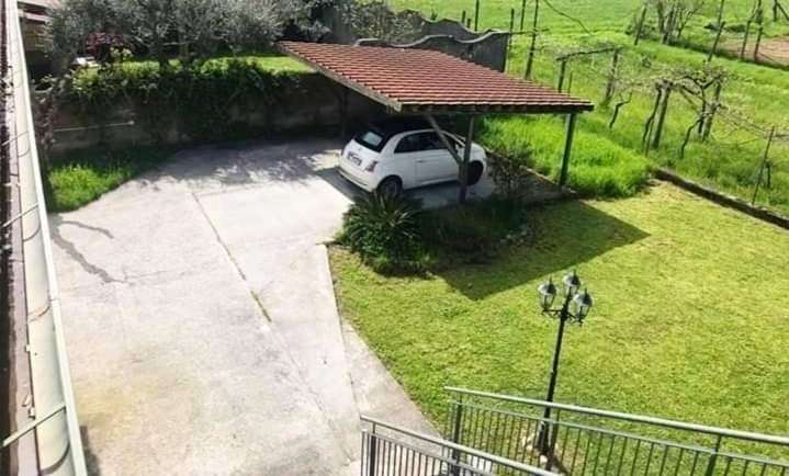  - foto 5