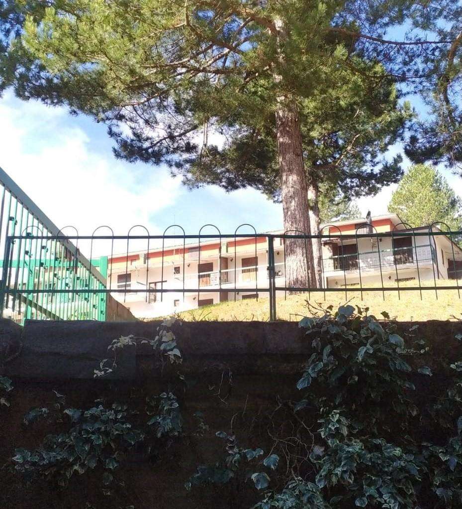  - foto 3