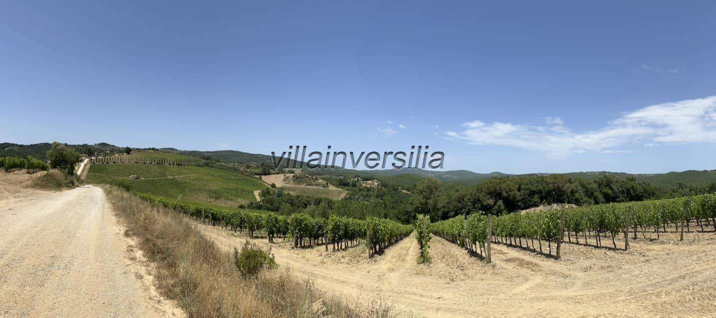 Terreno agricolo FWH+7V Castelnuovo Berardenga SI,, Castelnuovo Berardenga