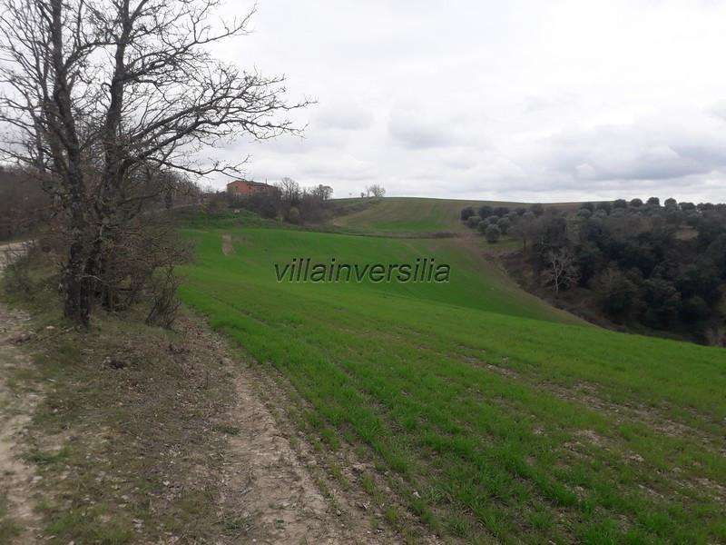 immagine annuncio 9 di 12