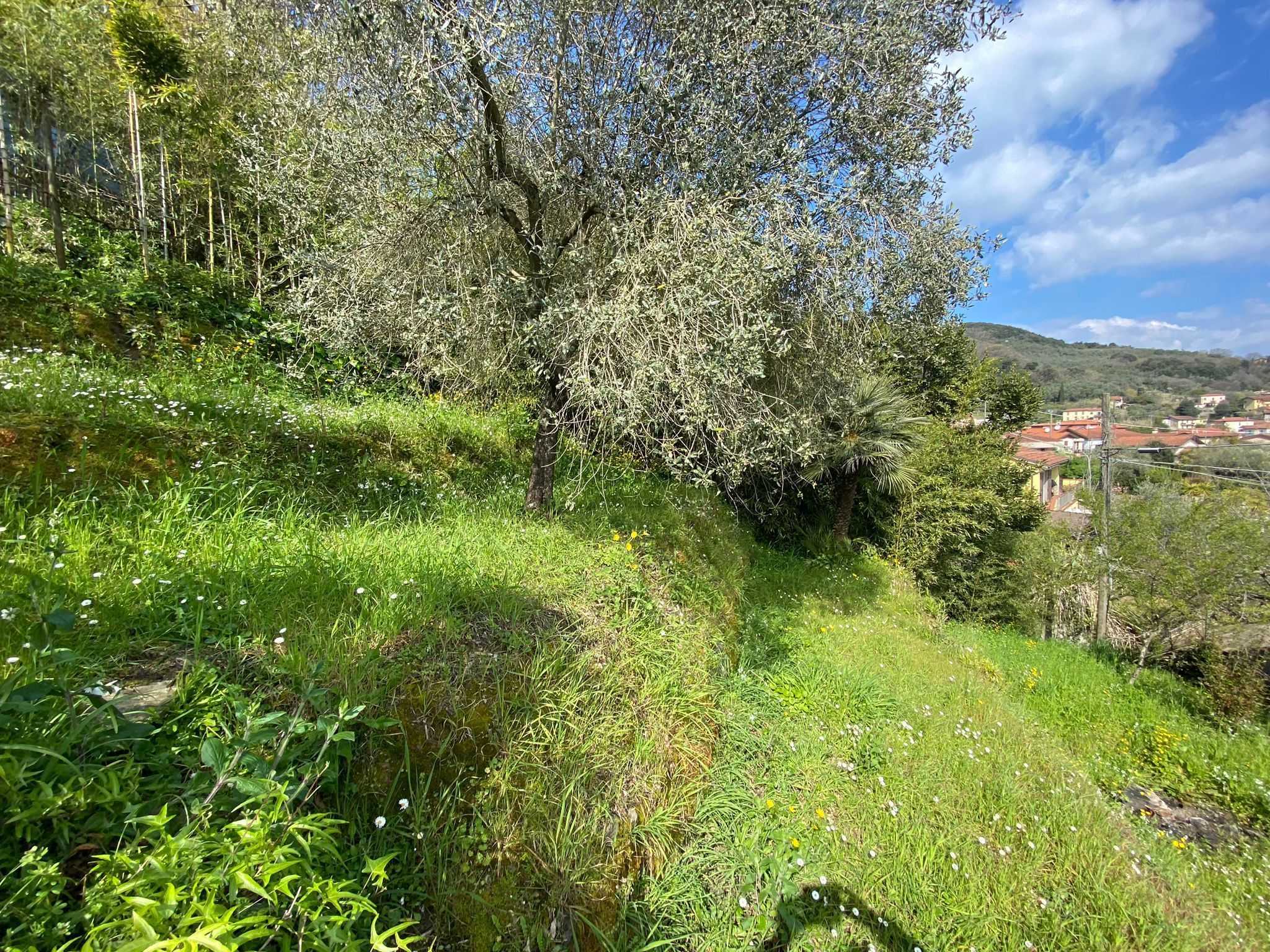 immagine annuncio 1 di 11
