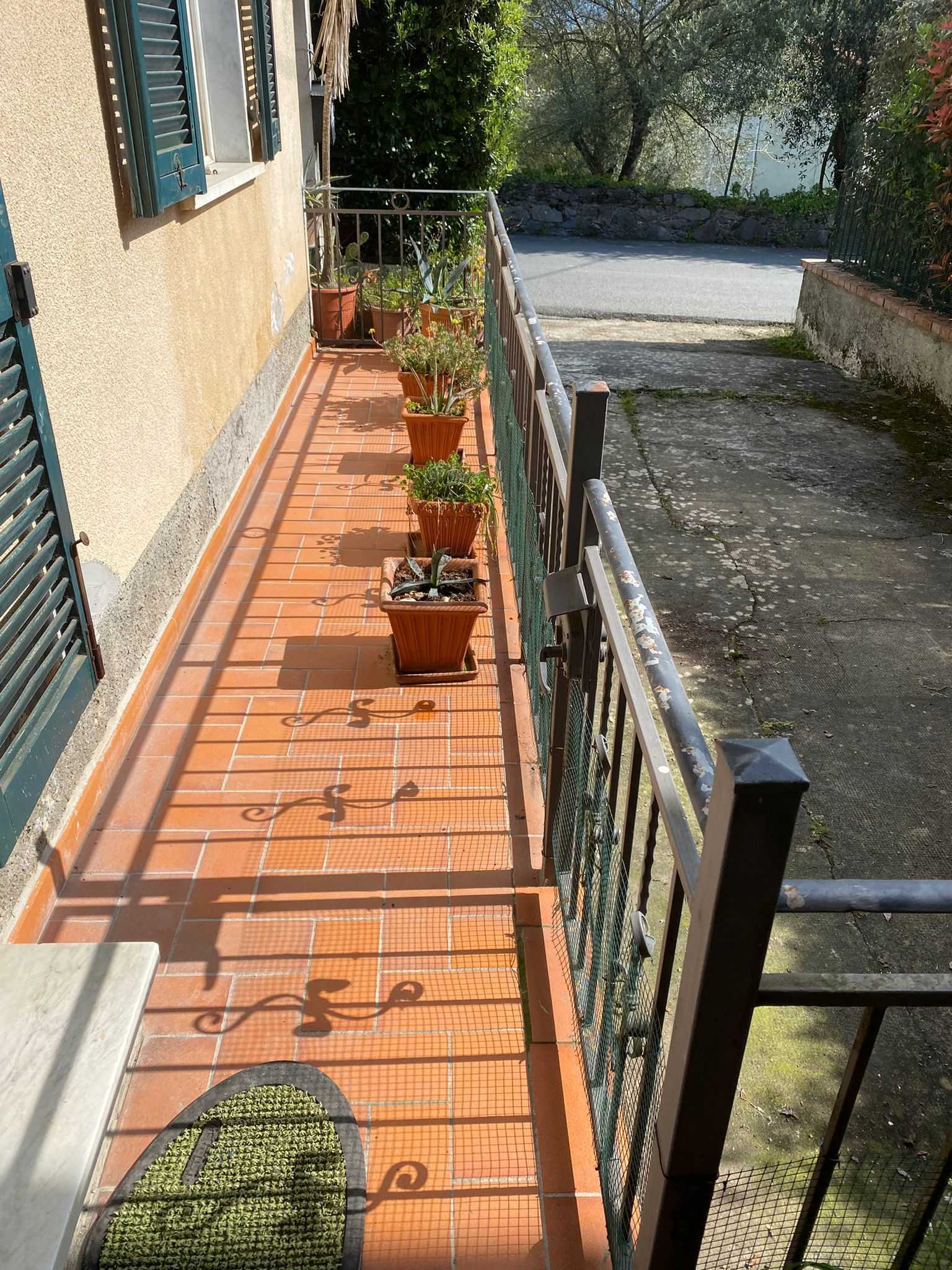 immagine annuncio 8 di 11