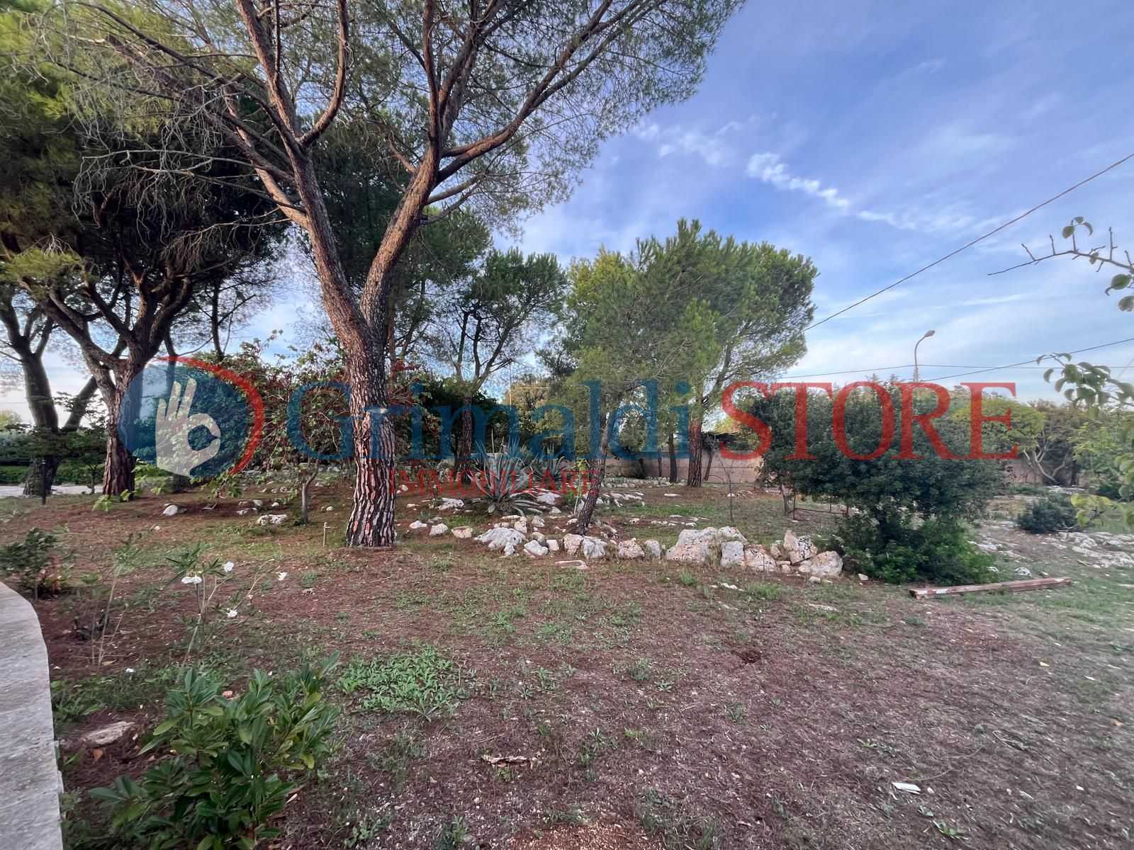  - foto 4