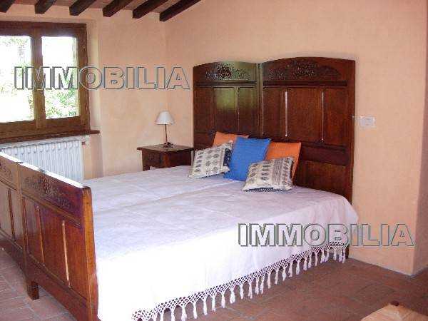  - foto 23