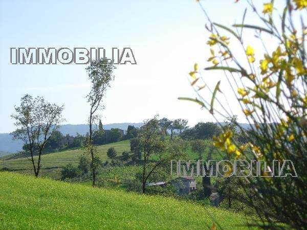  - foto 27