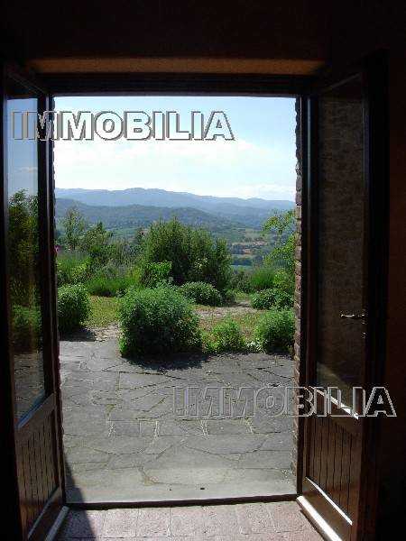  - foto 4
