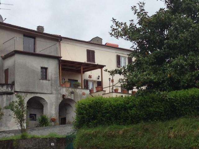  - foto 13