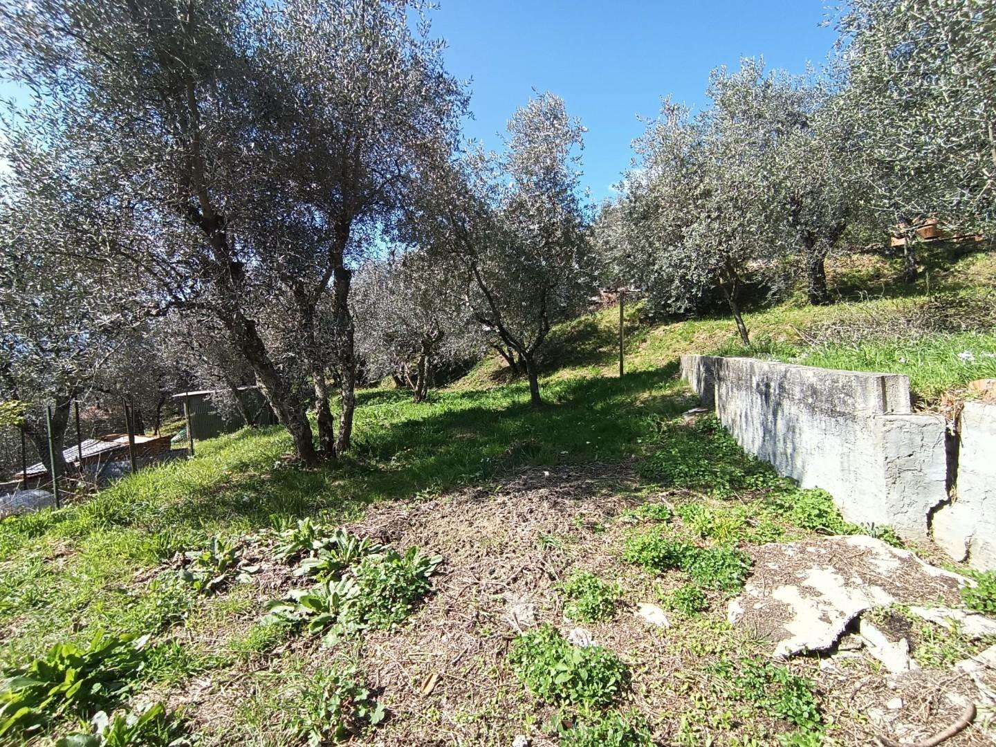  - foto 18