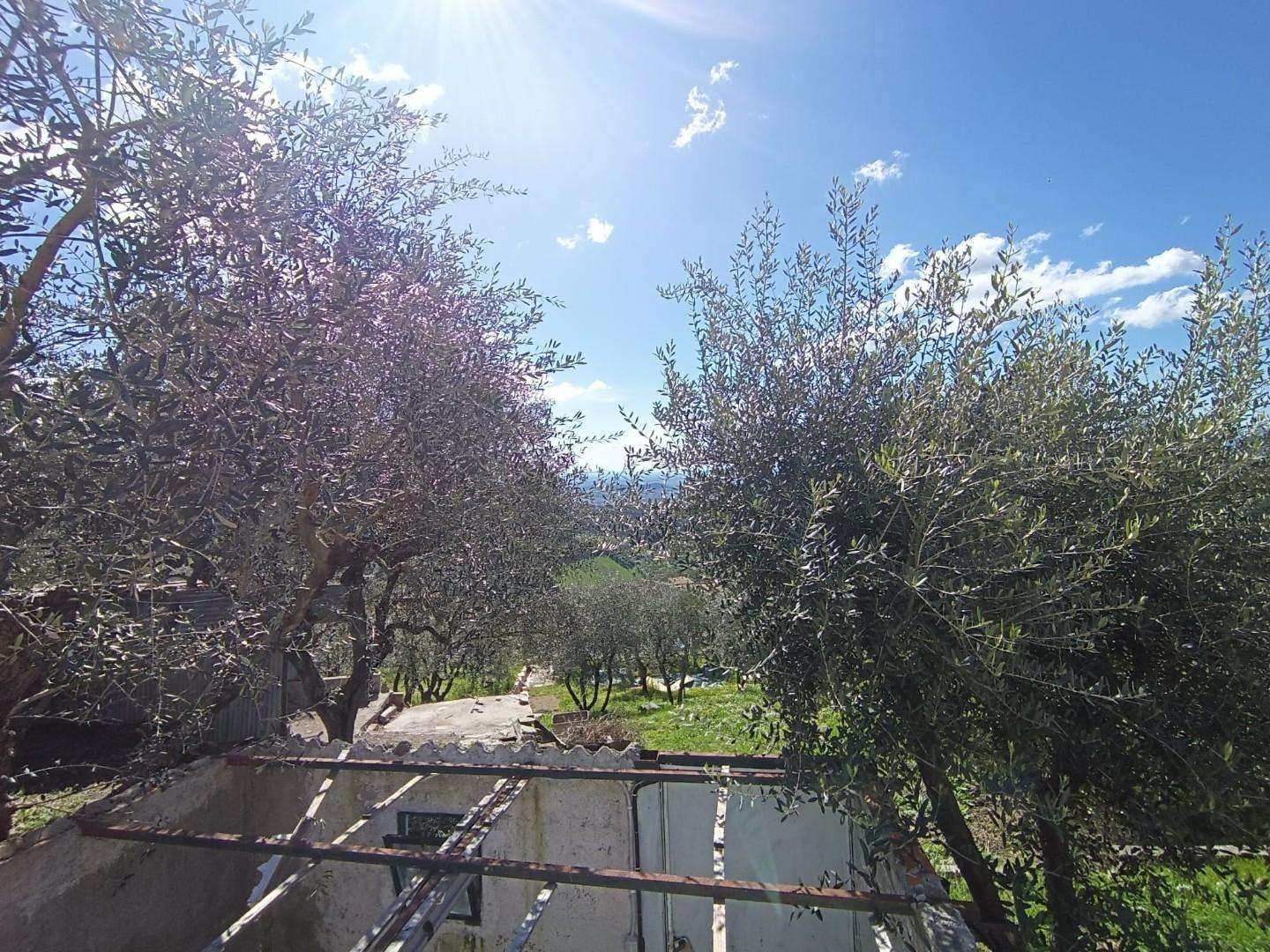  - foto 21