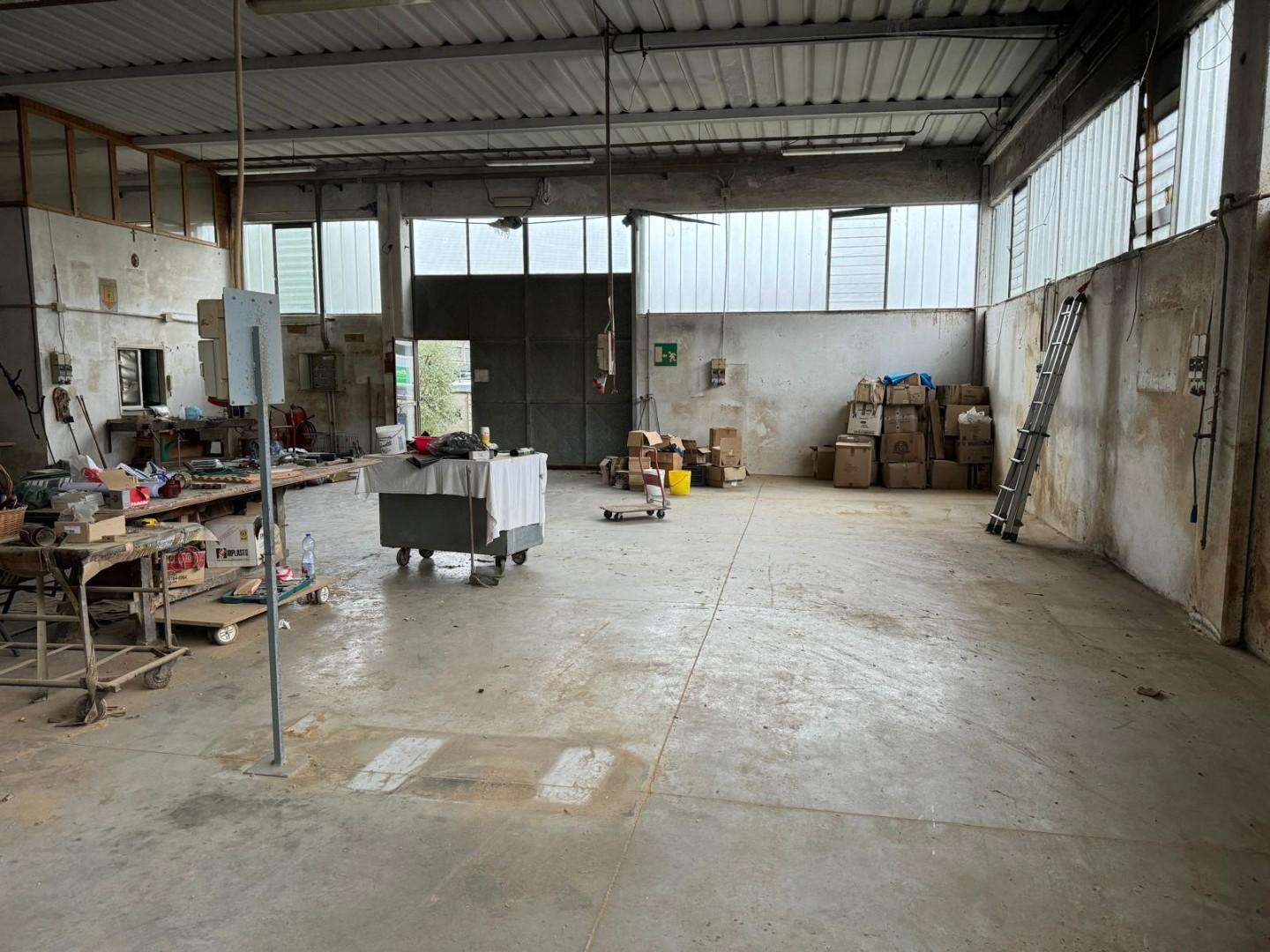 immagine annuncio 5 di 6