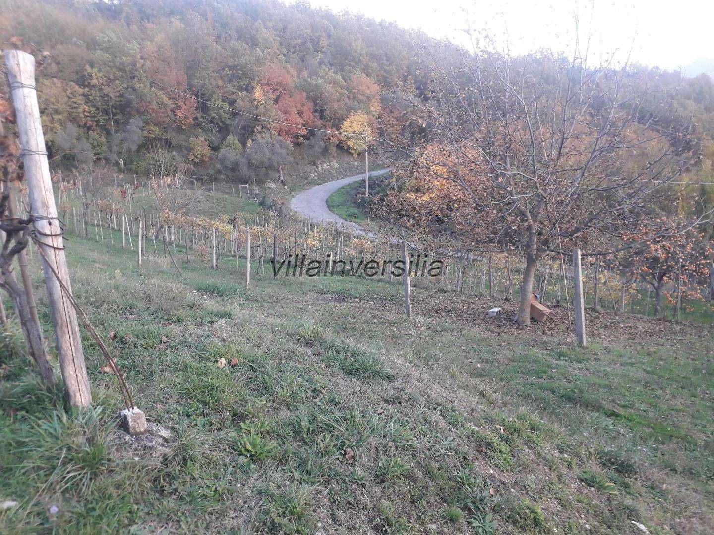  - foto 28