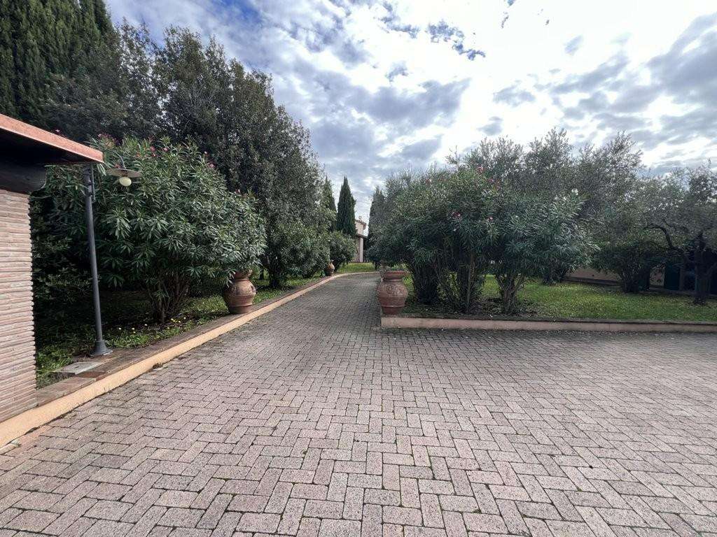  - foto 19