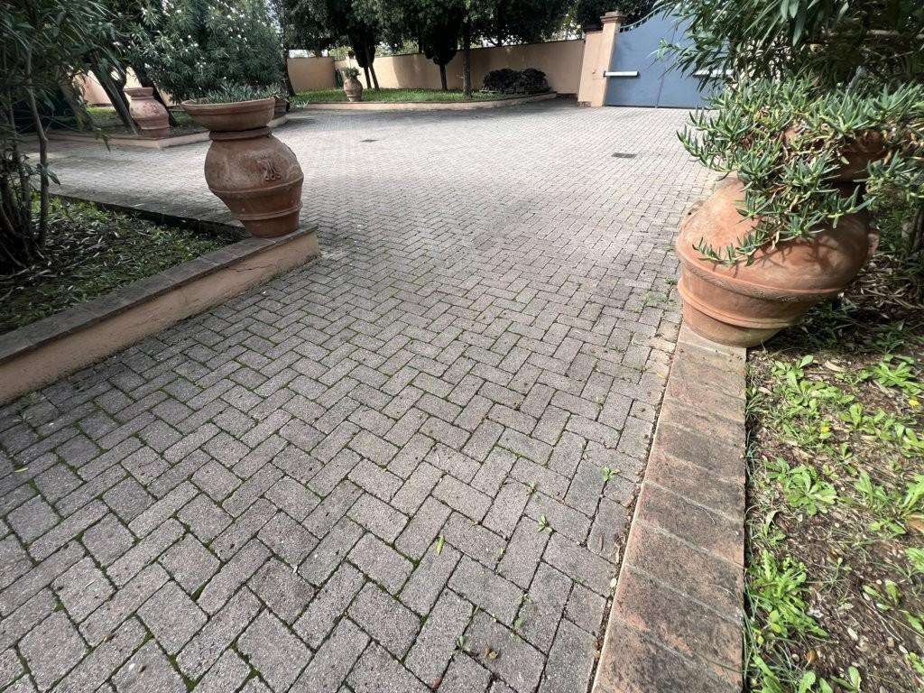  - foto 22