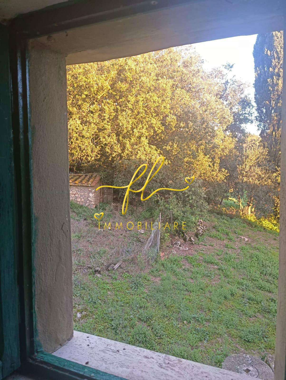  - foto 21