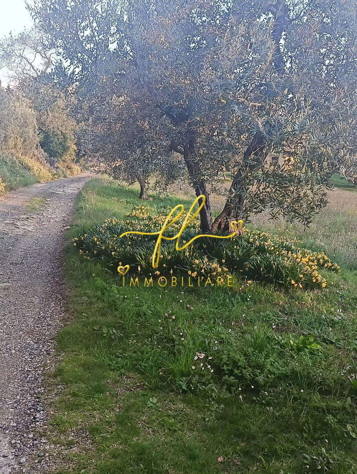  - foto 25