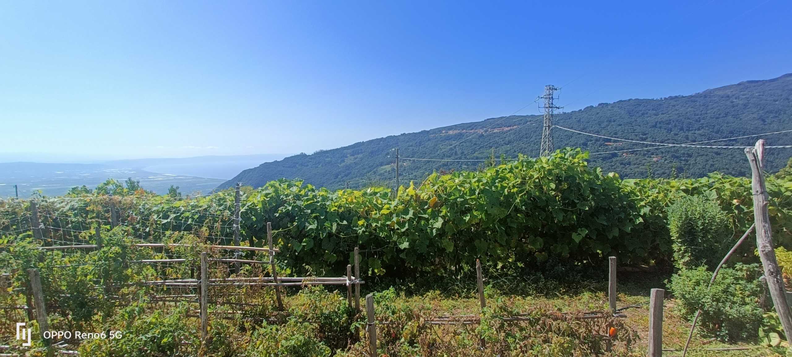  - foto 23
