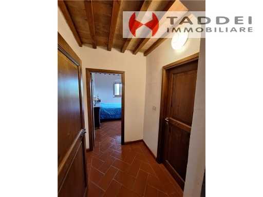  - foto 42