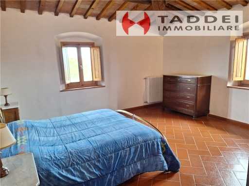  - foto 44