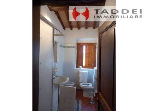  - foto 50