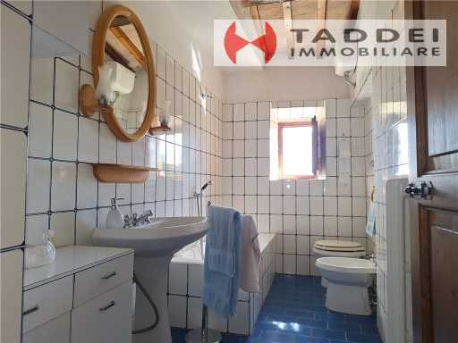  - foto 65