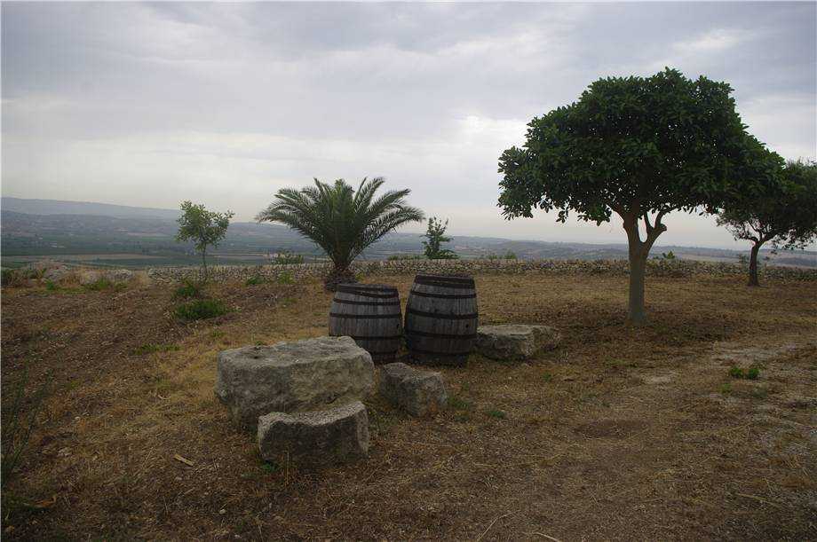  - foto 13