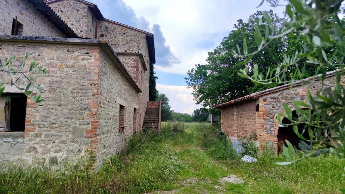  - foto 10
