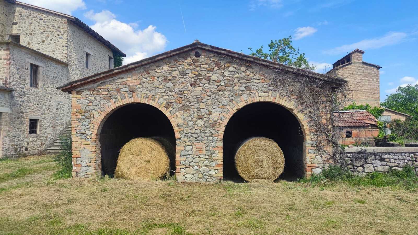  - foto 11