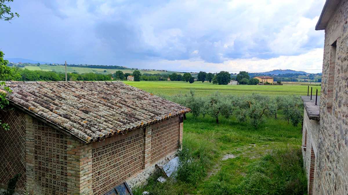  - foto 14