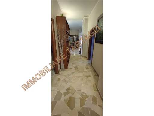 - foto 23