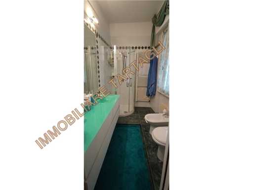  - foto 28
