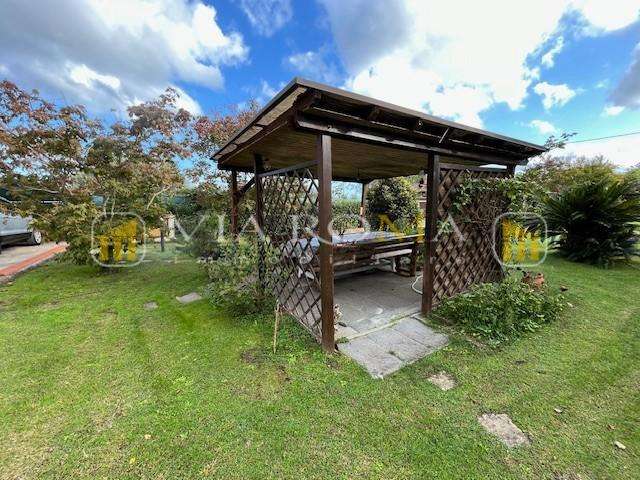  - foto 23