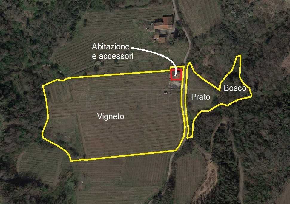 immagine annuncio 10 di 15