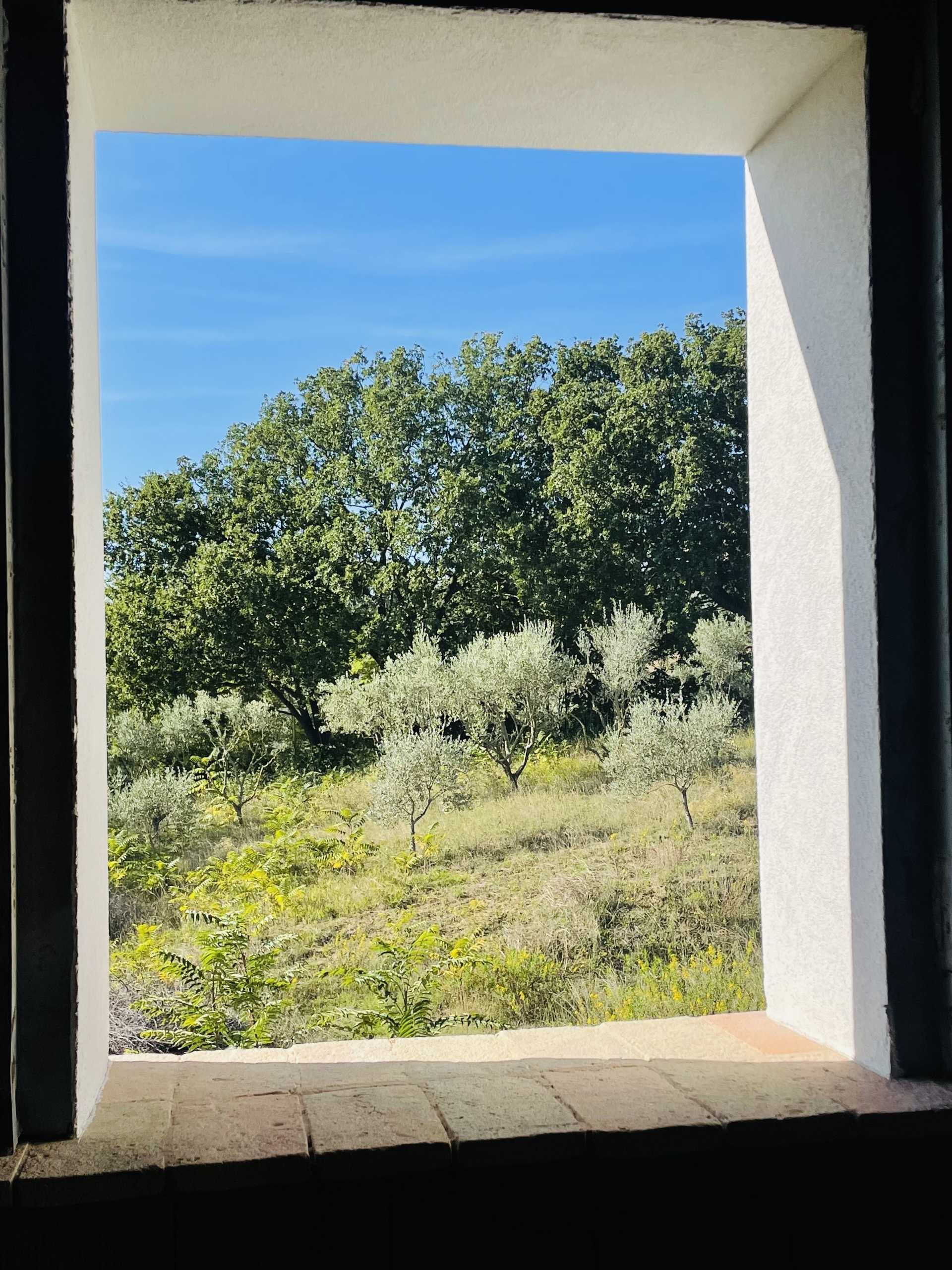  - foto 36