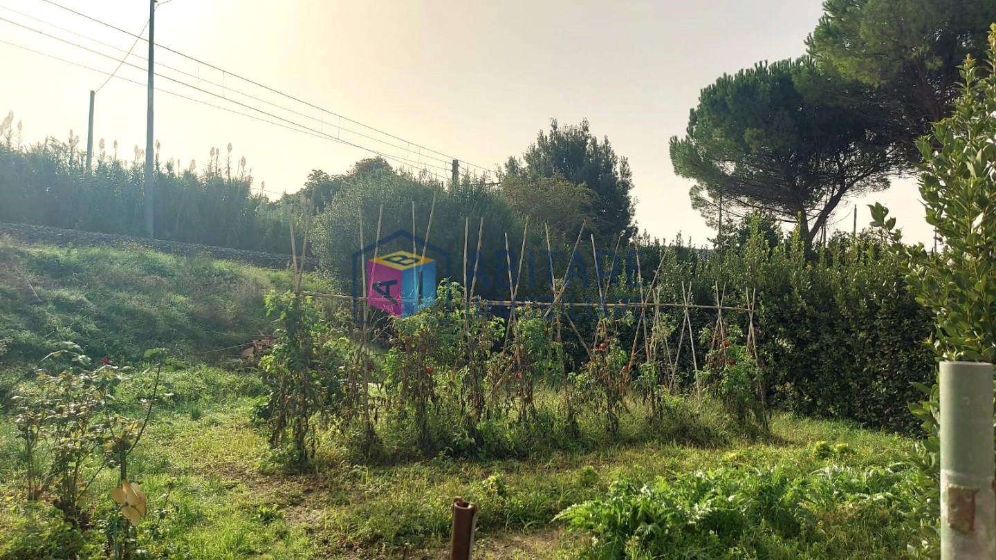  - foto 37