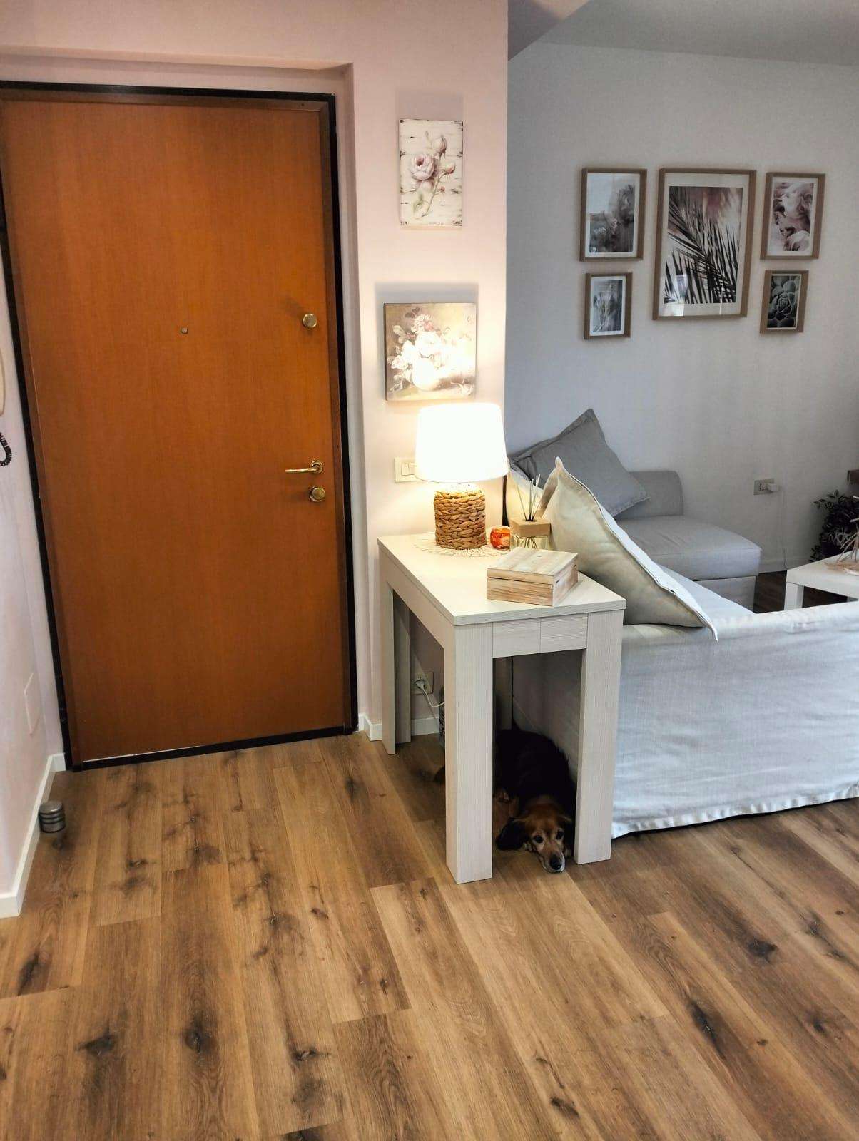  - foto 11